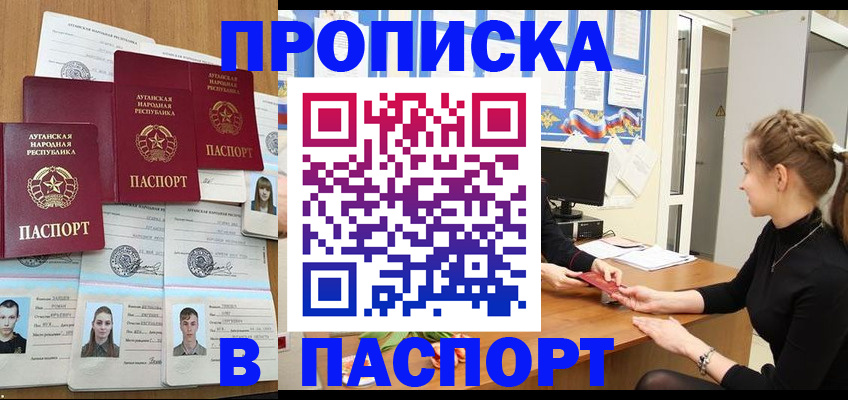 прописка поиск в Шадринске